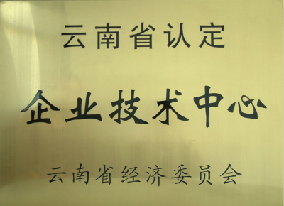2004年，云南省認定企業技術中心.jpg