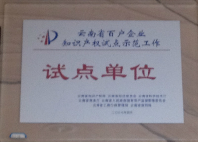 2007年，云南省百戶企業(yè)只是產(chǎn)權(quán)試點(diǎn)示范單位試點(diǎn)單位.jpg