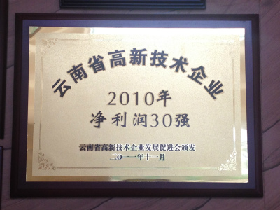 2011年，云南省高新技術(shù)企業(yè)2010年凈利潤(rùn)30強(qiáng).jpg
