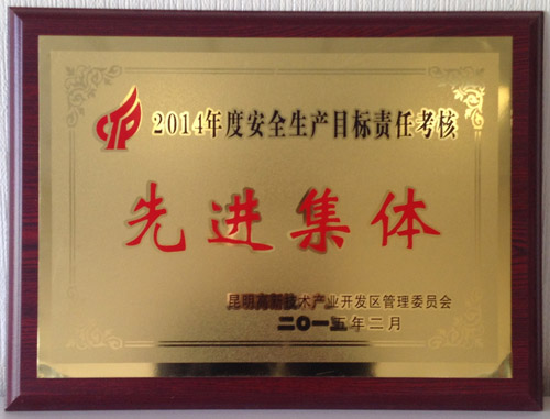2014年度安全生產目標責任考核先進集體.jpg