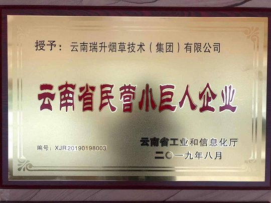 云南民營小巨人企業.png